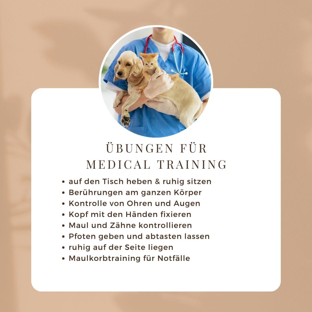 Übungen für Medical Training beim Hund