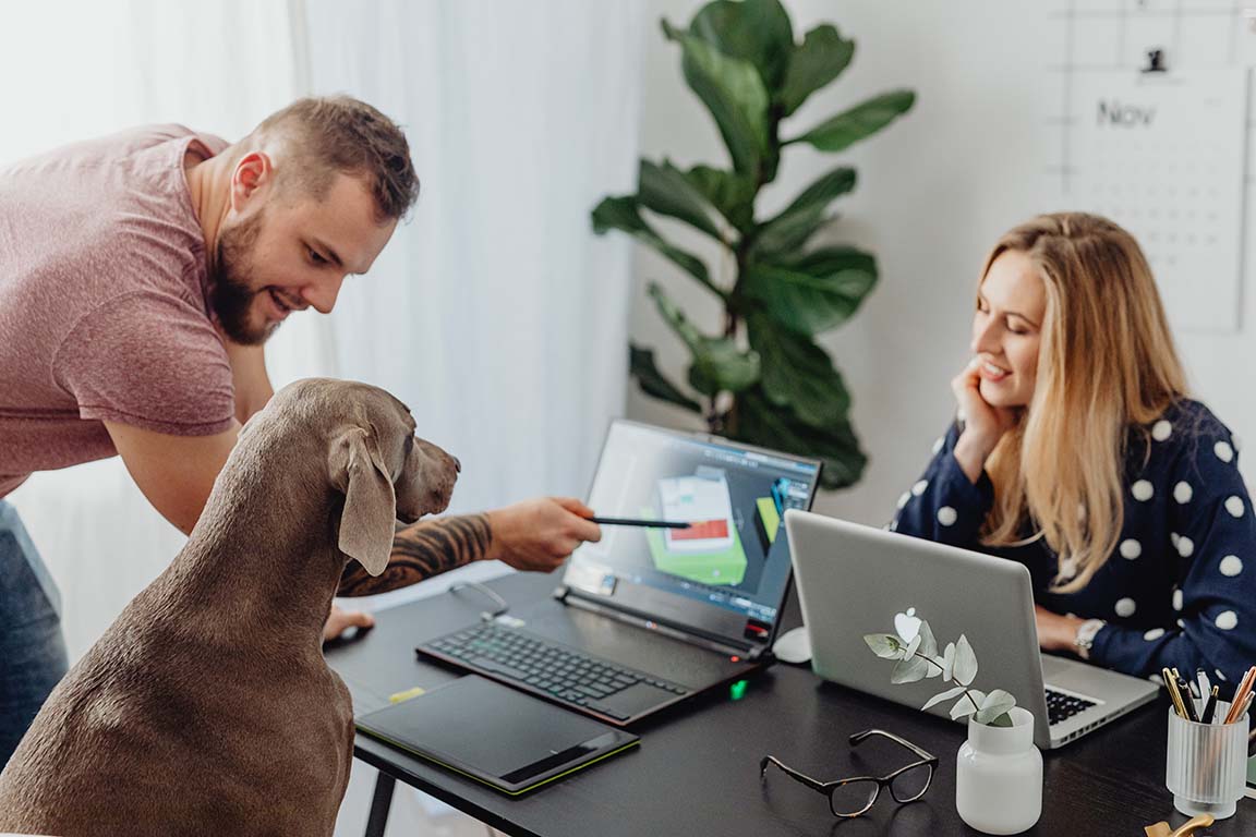 Hund sitzt im Büro vor dem Computer